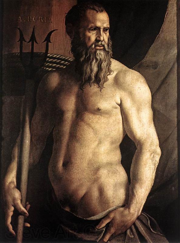 BRONZINO, Agnolo Portrait of Andrea Doria as Neptune df Spain oil painting art